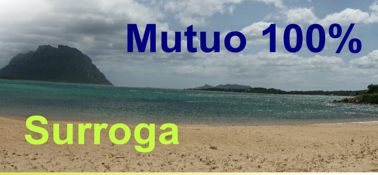 Surroga